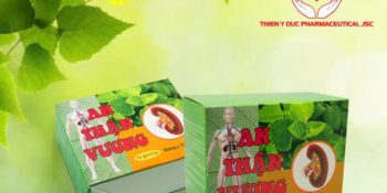 Thuốc An Thận Vương Có Tốt Không? Mua Ở Đâu? Giá Bao Nhiêu? Cập Nhật 06-2025