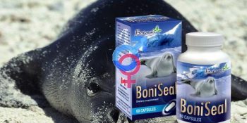 BoniSeal Có Tốt Không, Tác Dụng Phụ Sao ? Giá Bao Nhiêu Cập Nhật 06-2025