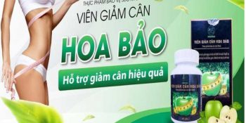 Viên Giảm Cân Hoa Bảo Có Thực Sự Tốt, Hiệu Quả, Giá Bao Nhiêu, Mua Ở Đâu Cập Nhật 12-2024