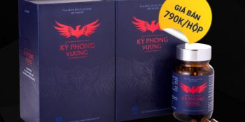 Kỳ Phong Vương Giá Bao Nhiêu Tiền? Mua Ở Đâu? Có Tốt Không, Feedback Cập Nhật 06-2025