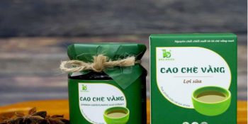 Cách Chọn Trà Giảm Cân Dành Cho Phụ Nữ Cho Con Bú Cập Nhật 12-2024