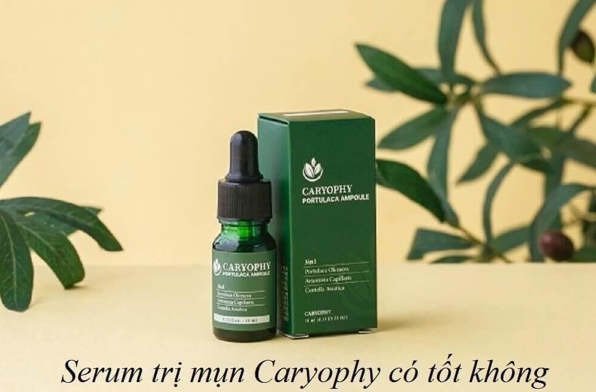Serum Caryophy
