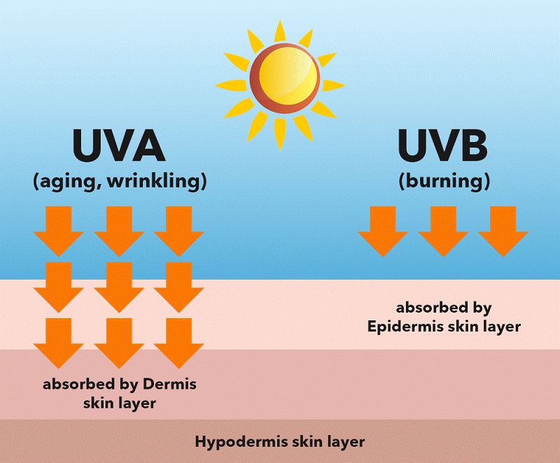 Những Sự Khác Biệt Bất Ngờ Về UVA và UVB Mà Bạn Sẽ Muốn Biết!