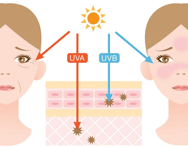 Những Sự Khác Biệt Bất Ngờ Về UVA và UVB Mà Bạn Sẽ Muốn Biết!